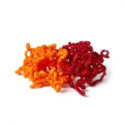 Chenille MDC Worm - Rouge