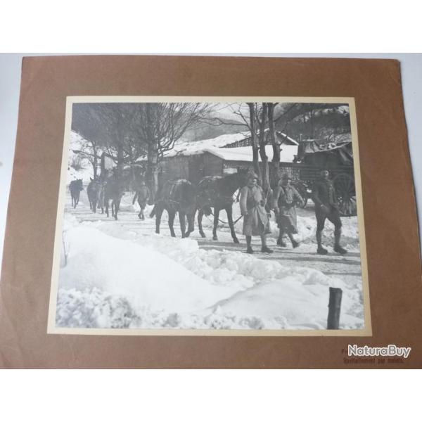 Photographie guerre 1914-18 Ravitaillement par mulets