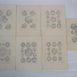 Modelés de gravures pour boites de montres F. Hanni horlogerie