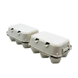 Lot de 124 Boîtes 2X6 oeufs carton à l'unité