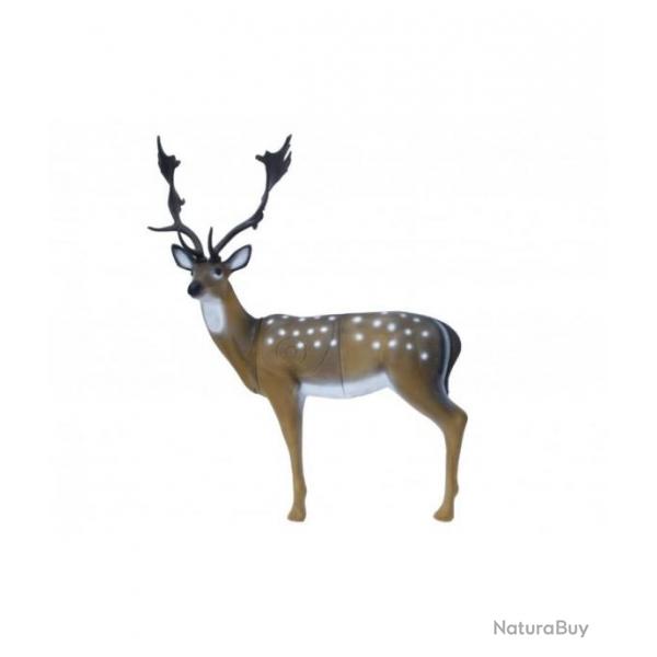 Cible 3D SRT Daim (Fallow Deer) de groupe 1