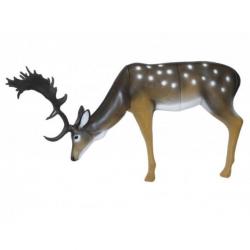 Cible 3D SRT Daim aux pâturages (Fallow Deer grazing) de groupe 1