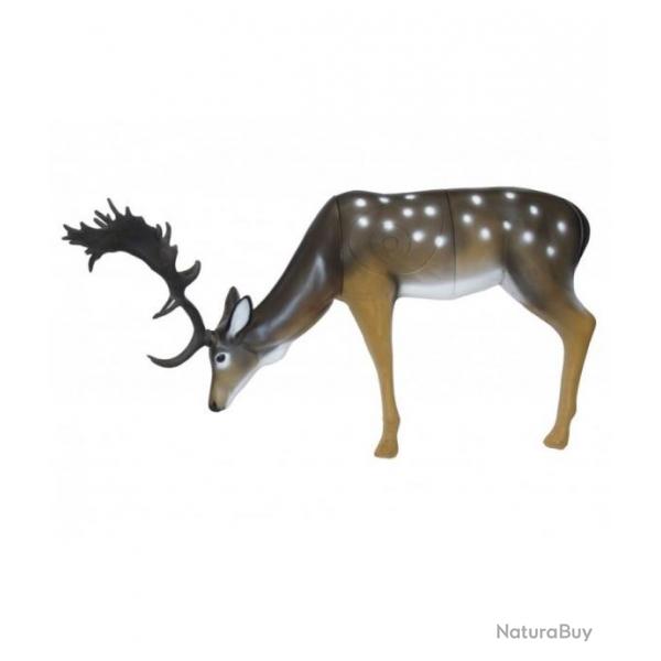 Cible 3D SRT Daim aux pturages (Fallow Deer grazing) de groupe 1