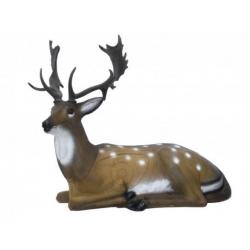 Cible 3D SRT Daim couché (Bedded Deer) de groupe 2