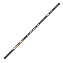 Vampire Carp 371 10 M Canne emmanchement Carpe Garbolino
