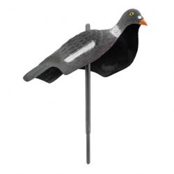 Appelant Europarm pigeon anglais - Pigeon anglais