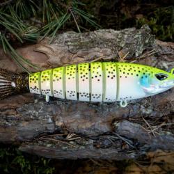 S-Funky - Rainbowtrout