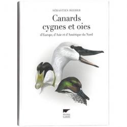 Livre Canards, cygnes et oies d'Europe, d'Asie et d'Amérique du Nord