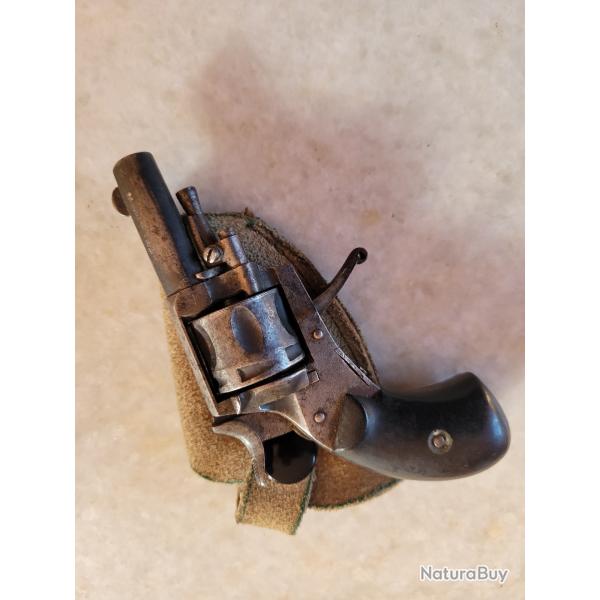 Revolver puppys 6 mm