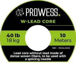 Leader Prowess W-Lead Core