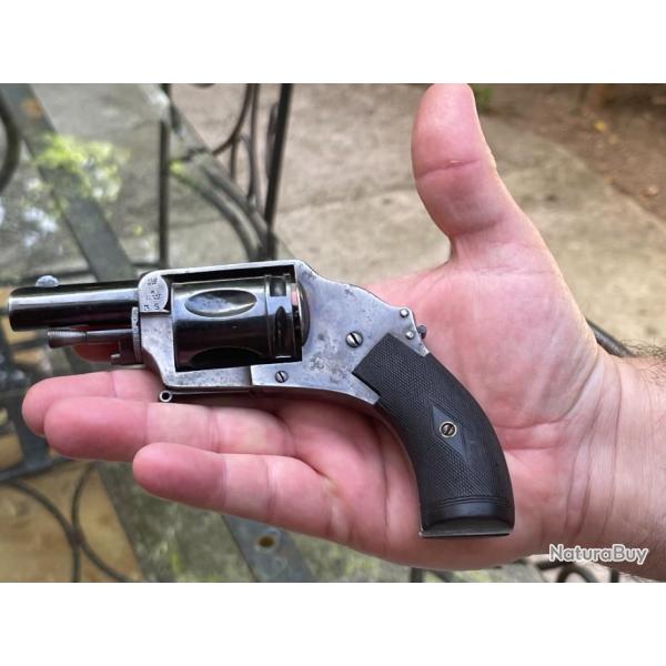 revolver velodog