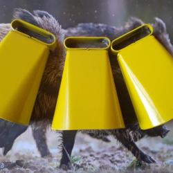 // Lot 3 cloches de 70 mm.