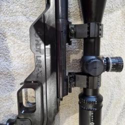 Carabine de TLD 308 win