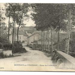 Carte postale ancienne - MONTIGNY-sur-VINGEANNE (21) - Route de Lavilleneuve (1905)
