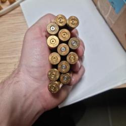 Lot de douilles 300 win mag