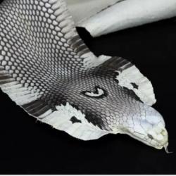 Véritable et magnifique peau de serpent cobra naturalisée, cuir