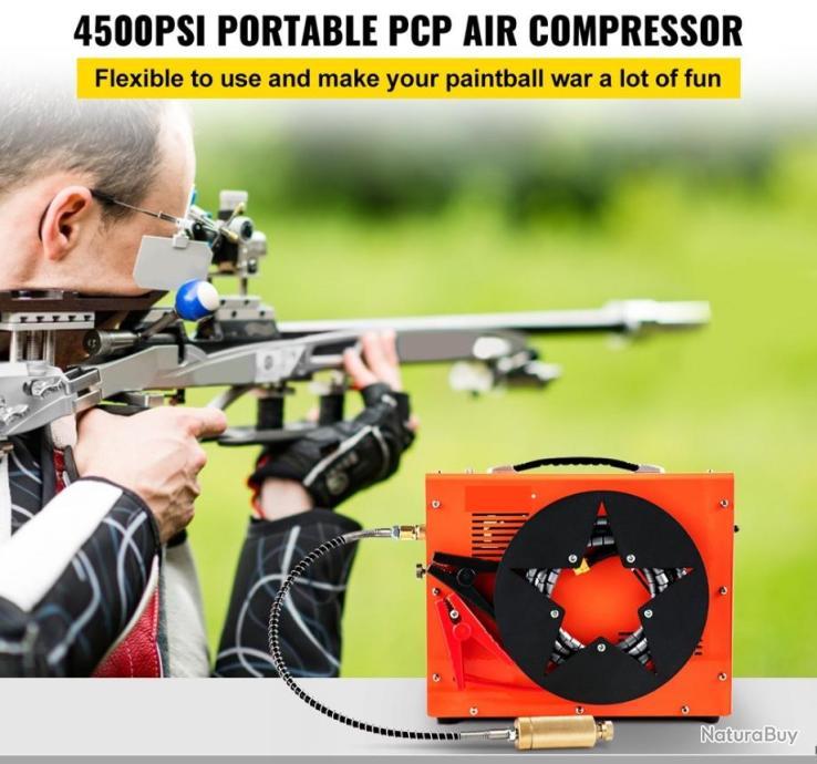 Compresseur D Air Pcp Pompe Air De Haute Pression Mpa Automatique Pro Pompes Pcp