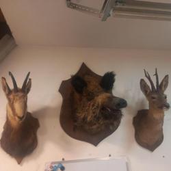 Joli lot de 3 trophées