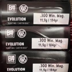 Munitions RWS EVO 300 Win Mag 184 grains