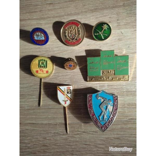 Lot pin's/broches sport militaire divers pays