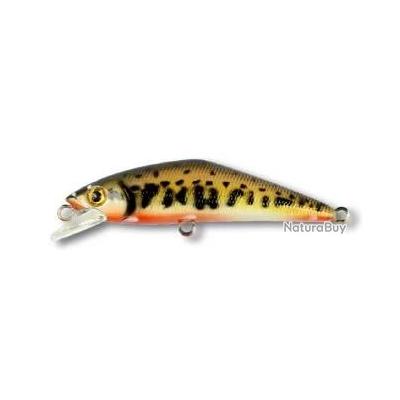 Leurre Souple 3:16 Co. Fat Boy 10 Pouces - Truite Noire (occasion)