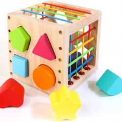 Jouet Montessori Trieur de Formes en Bois 8 pièces de Blocs de Formes géométriques
