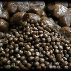 PELLETS CARPE EXTRUDE NAT 9MM 25KGS