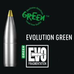 Ogives RWS Evo Green - 13.5 g / Par 1 / 10,3 mm