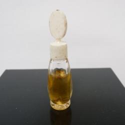 Miniature de parfum Symbole DANA