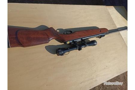 Carabine gamo Hunter 440 AS cal 4.5mm avec lunette 3-9 x 40 WR 19,9 joules  + munitions - Carabine a air comprime - Carabine à plomb - Tir de loisir