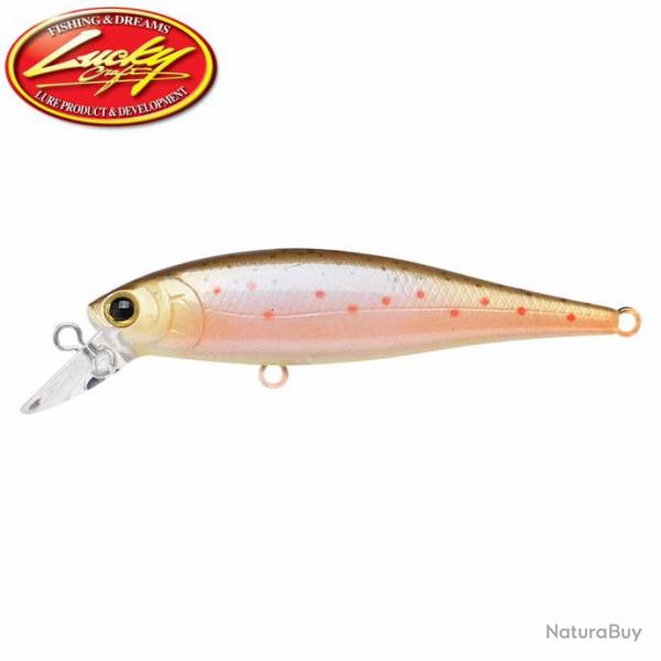Leurre Lucky Craft Pointer 65 - 6,5cm Brown trout