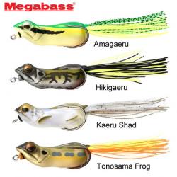 Leurre Big Gabot Megabass Amagaeru