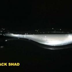 Leurre Big Bite Baits Shad 7,6cm Black Shad