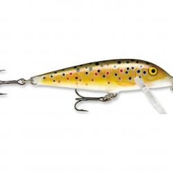 Leurre Rapala Countdown 9cm TR