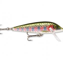 Leurre Rapala Countdown 11cm RT