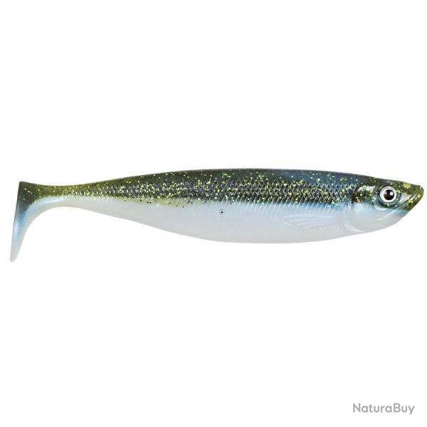 Leurre Souple CWC Tumbler Shad 17cm 02 - Smelt