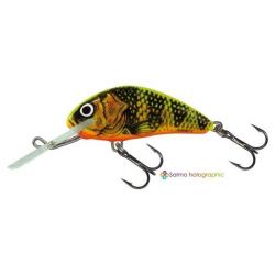 Poisson Nageur Salmo Hornet Floating GFP - Gold Fluo Perch H3F