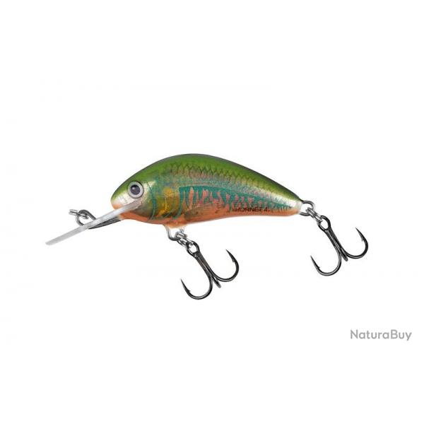 Poisson Nageur Salmo Hornet Floating H5F Holo Oikawa