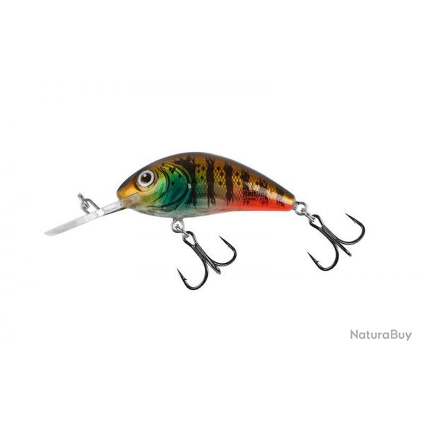 Poisson Nageur Salmo Rattlin Hornet Flottant 5,5cm Hot Gill