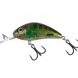 Poisson Nageur Salmo Rattlin Hornet Flottant 3,5cm Green Gill Clear