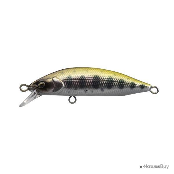 Poisson Nageur Babyface M50SR S 07 - Yamame