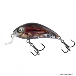 Poisson Nageur Salmo Rattlin Hornet Shallow 3,5cm RCC - Real Cockchafer