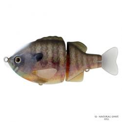 Poisson Nageur Deps Tiny Shooter 100 Flash Baby Gill