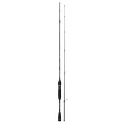 Canne Casting Hearty Rise Evolution III 10-42g