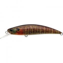 Poisson Nageur Duo international Spearhead Ryuki 70 S CCC3357 - True Gill