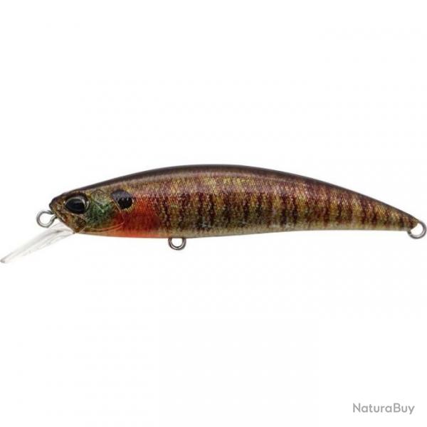 Poisson Nageur Duo international Spearhead Ryuki 70 S CCC3357 - True Gill