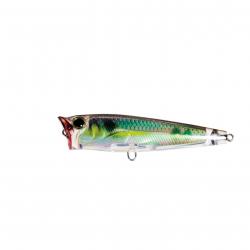 Poisson Nageur Yo-Zuri 3DR popper 75mm Grizzard Shad