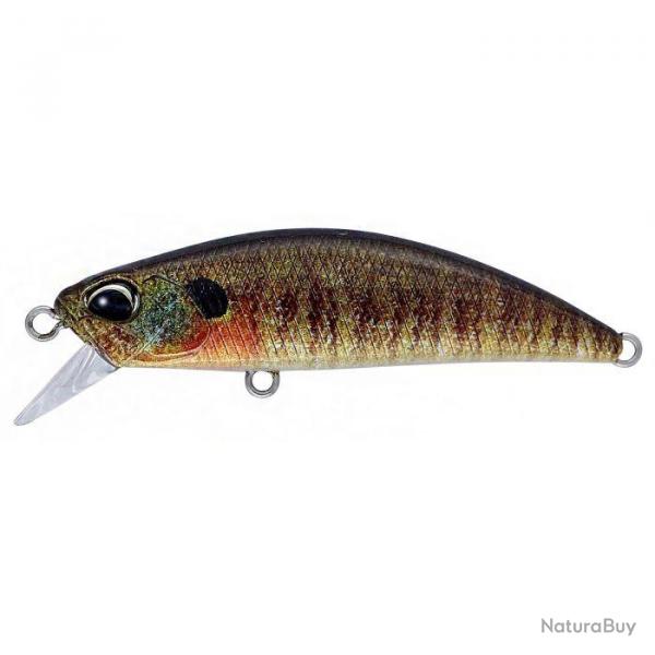 Poisson Nageur Duo international Spearhead Ryuki 45 SK CCC3357 - True Gill