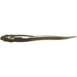 Leurre Souple Megabass Hazedong 13cm 12,5cm Par 7 CINNAMON SOLID
