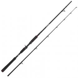 Canne Casting Abu Garcia Beast Jerkbait Rod 160g 2 1m98 40 - 90g